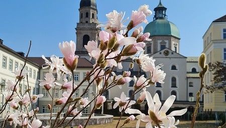 Innsbruck