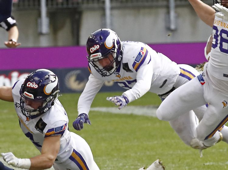 Vienna Vikings