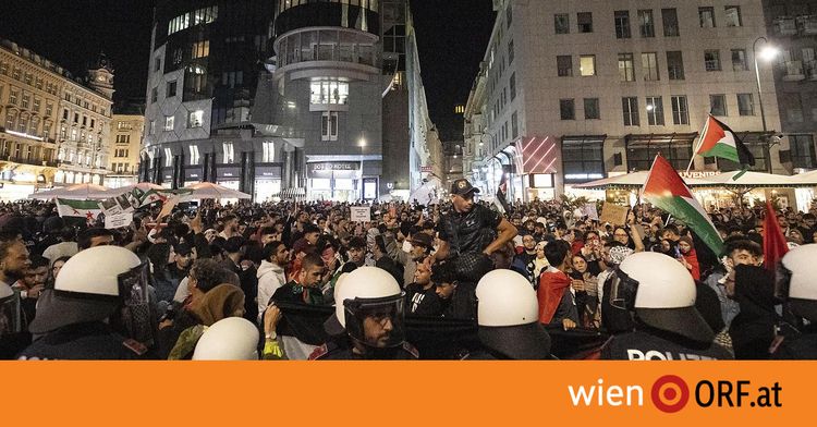 Demo Wien