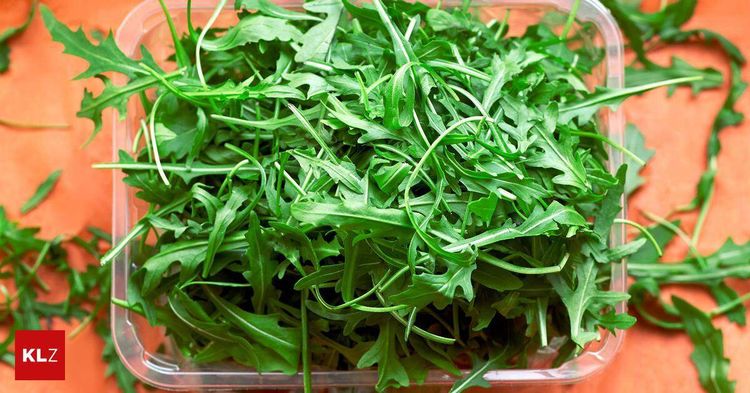 Salmonellen Rucola