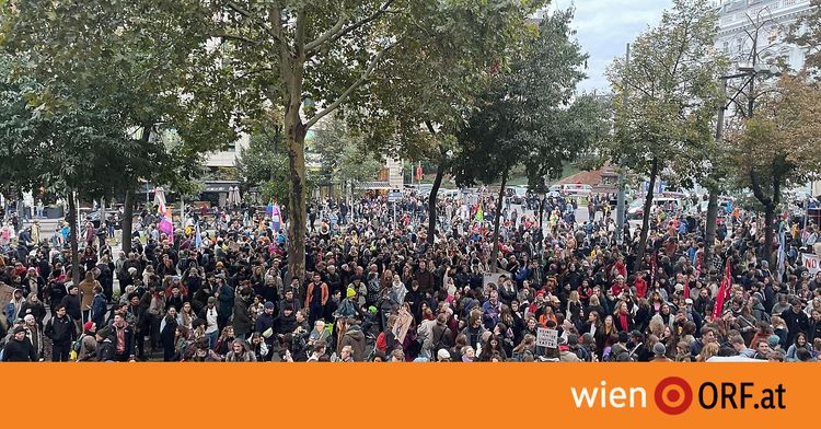 Demo Wien