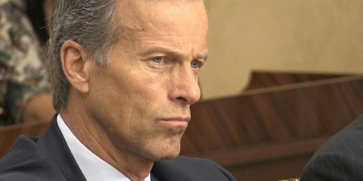 John Thune